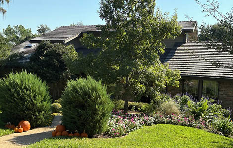 October Yard of the Month