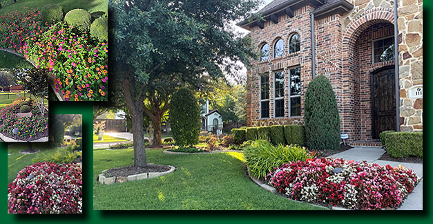 July 2026 Yard of the Month