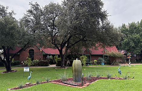 October Yard of the Month